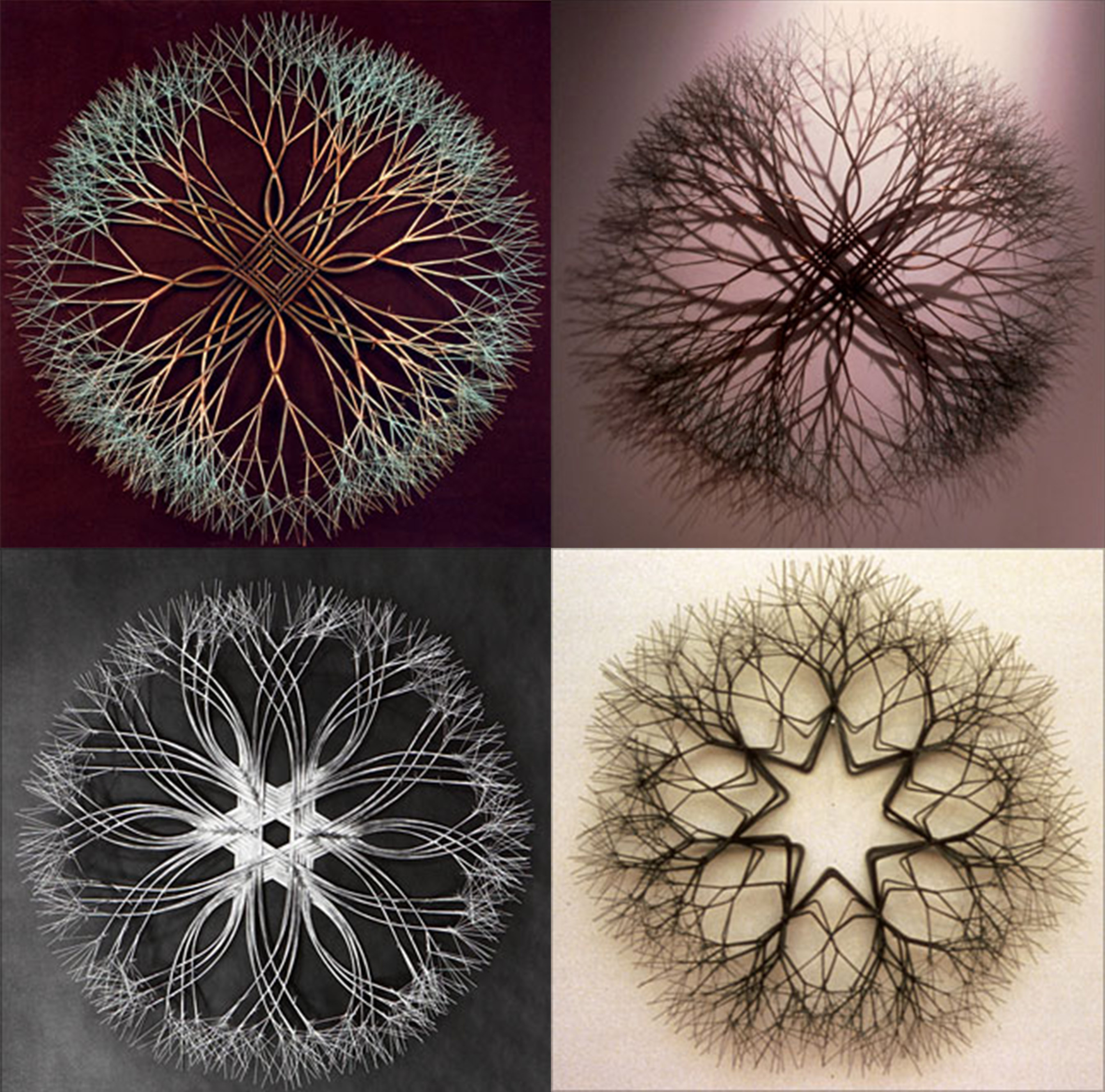 5293c4752523531e32000004_RuthAsawa2.jpg