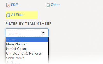 Filter by team member