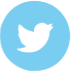 528eee729b07673f42000126_twitter_icon.png