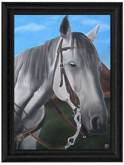 530ecb6e807526c3360000bd_occasionsHorse.png