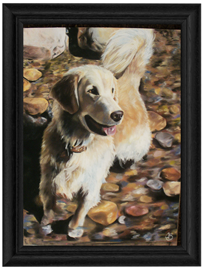 53178a2f21feaf145700008d_pets.png