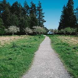 MCS Ltd Sage Anywhere Icon