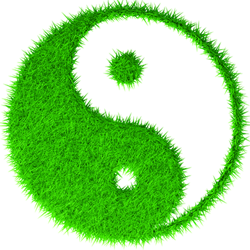 53ad69d73be122e14b87ce03_Yang.gif