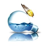 53a101d55f548f9132fd85bf_15093240-water-inside-light-bulb-with-butterfly-on-top.jpg