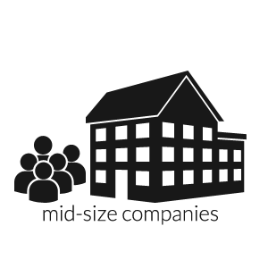 5400a71dca44dcce7cb6d8c1_midcap.png