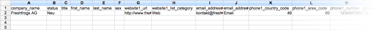 CSV Firmendaten