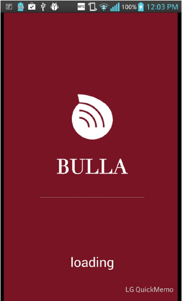 54296014ce042eac17b2872b_bulla1.PNG