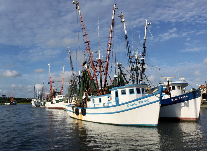 Chattanooga Photographer | Random Photography