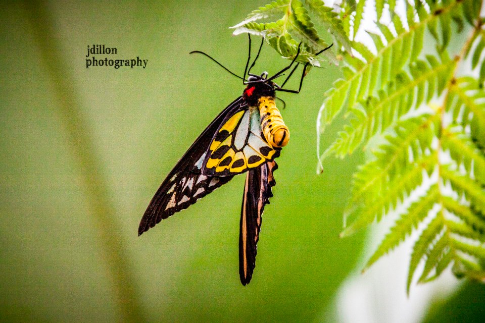 Chattanooga Photographer | Random Photography