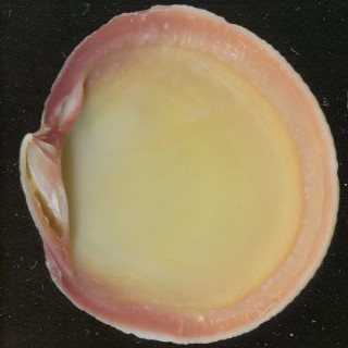 54bab8aa4bcc750812060c47_C011.jpg