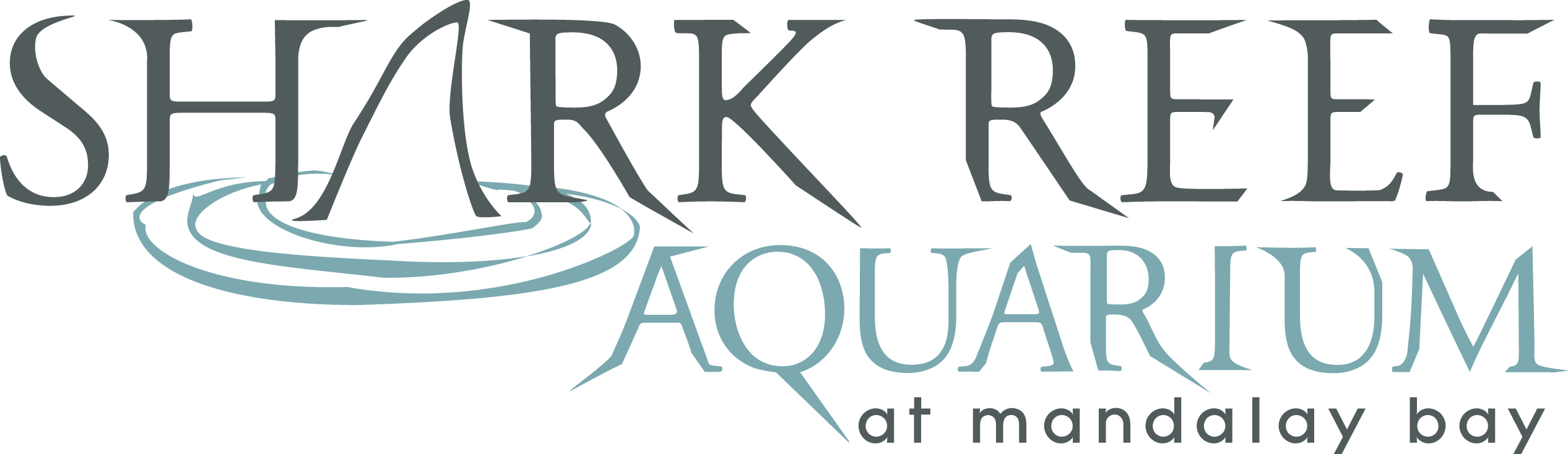 53f380eb1b92a02f2f9310a4_shark%20reef.jpg