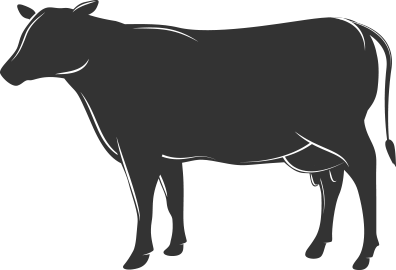 54c82464c794d6f3145b370f_beef.png