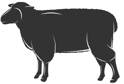 54c82476c794d6f3145b3711_lamb.png