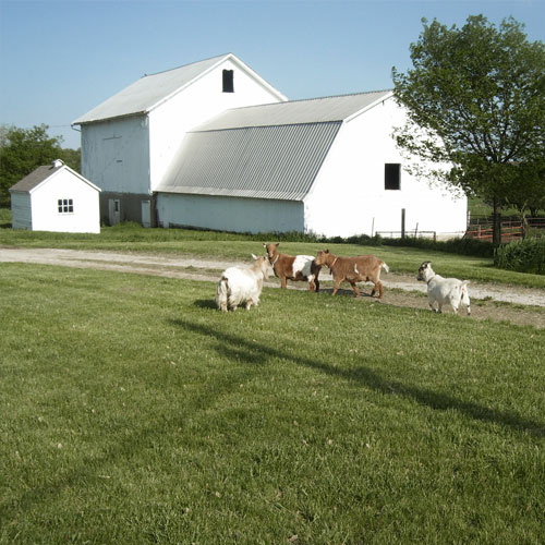 54cab100ca3b7c9a3d9e39be_white-barn-circle.jpg