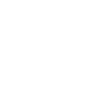 551c6b4aed11173341528a3e_white-twitter.png
