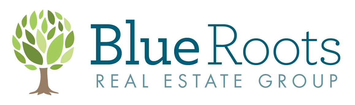55089ef2013f916b6bda13e6_blueroots-logo.png