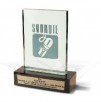 552490ecb3a186411a4eaee7_soundie_award.jpg
