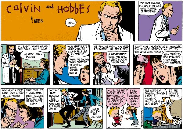 55e3ad7d77e0485d4a58f690_calvinandhobbiescomicstrip.jpg