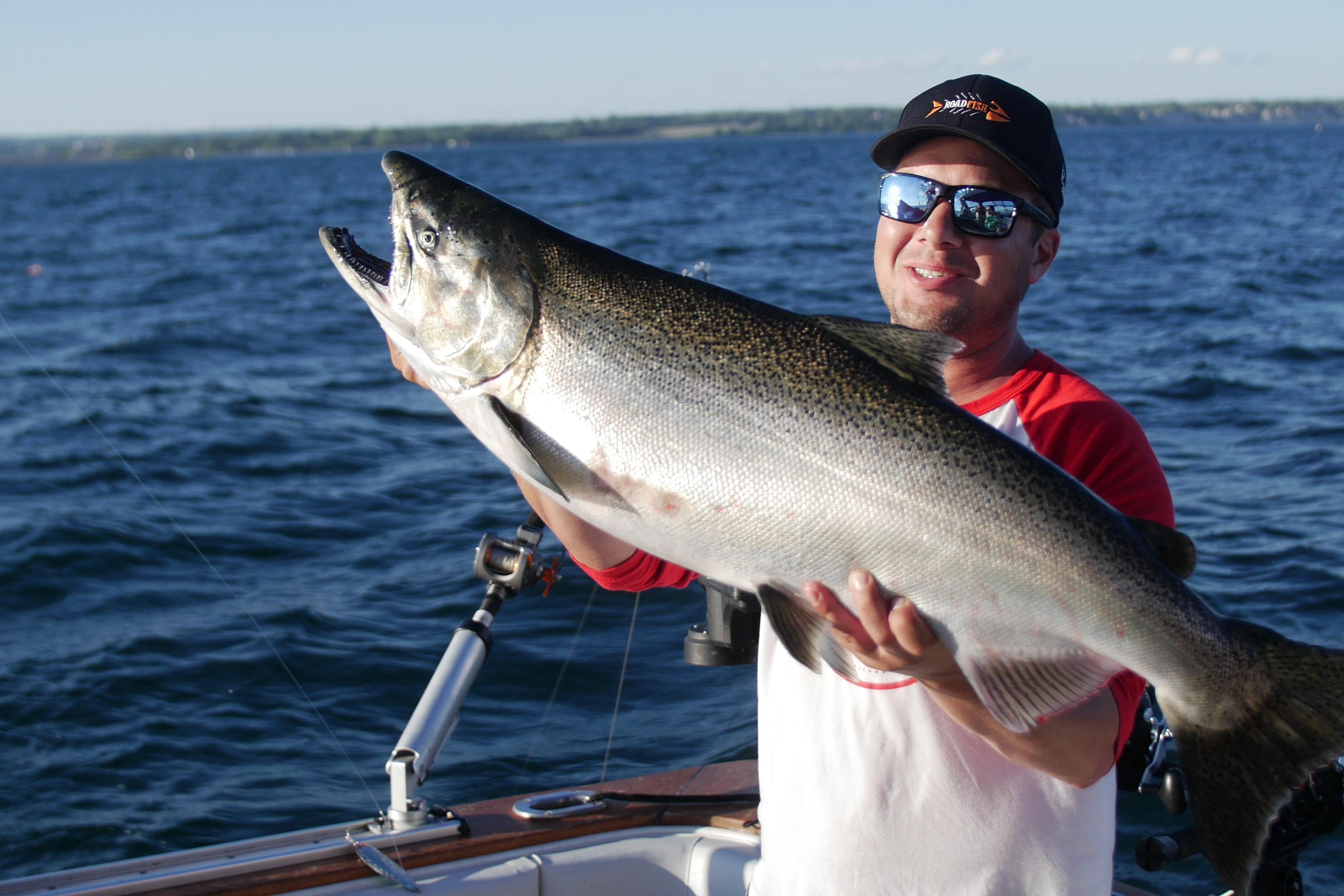 Épisodes de Roadfish