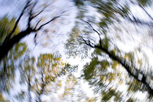 What is Vestibular Rehabilitation?
