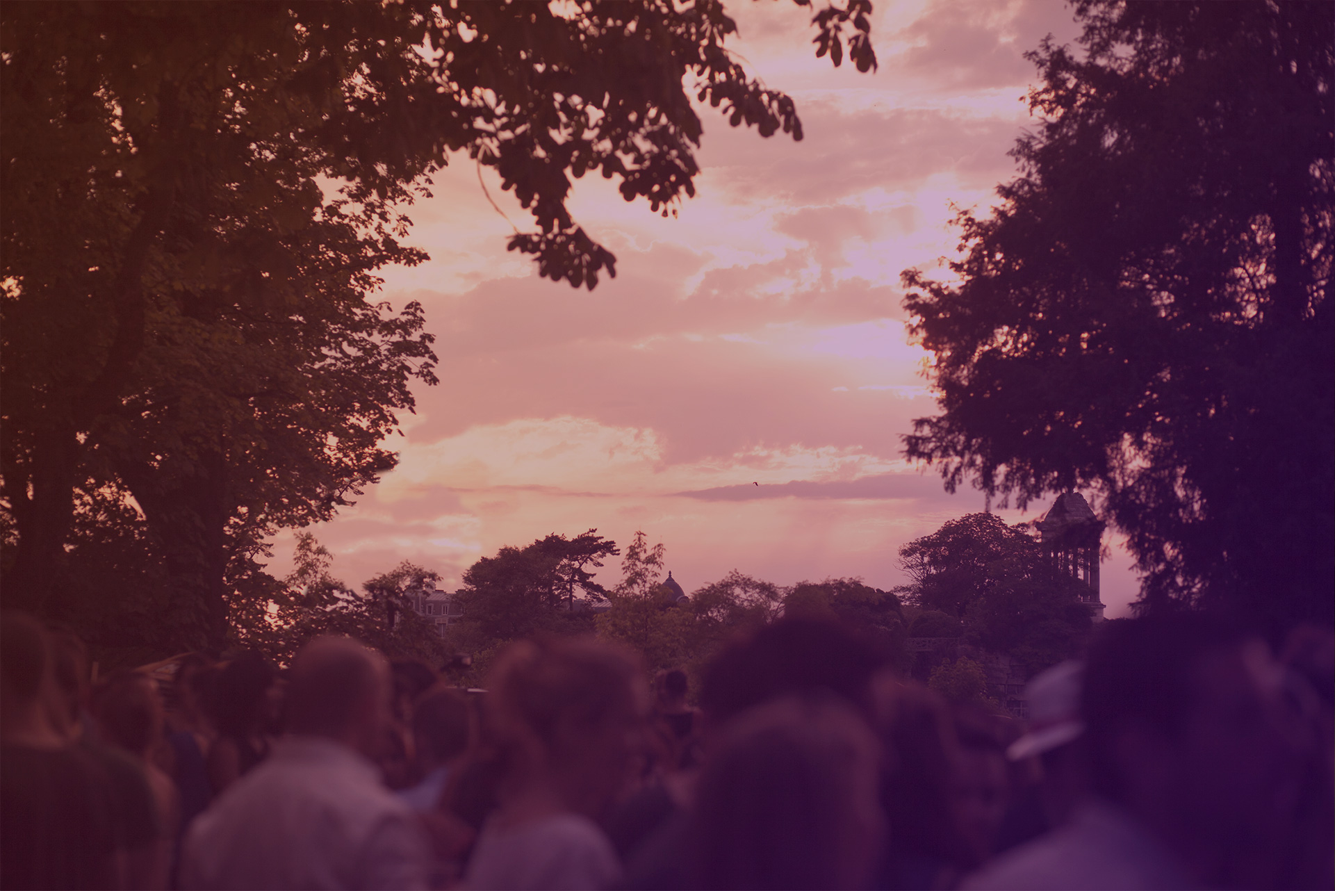 rosa bonheur rencontres