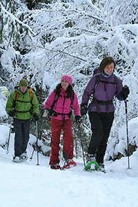 Guided Snowshoeing, Chamonix, French Alps