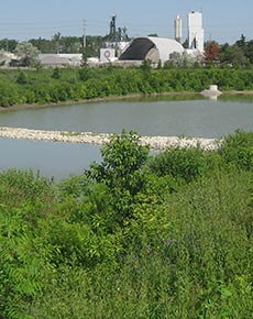 Commercial Landscape Architect