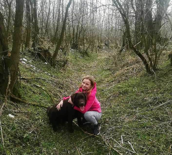 štěňátka