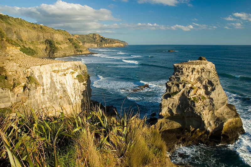Muriwai beach