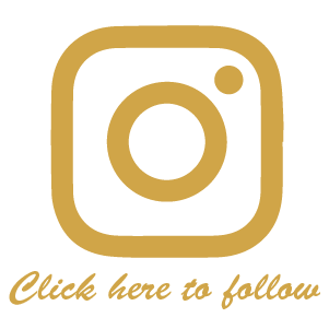 BioscopeVr-instagram