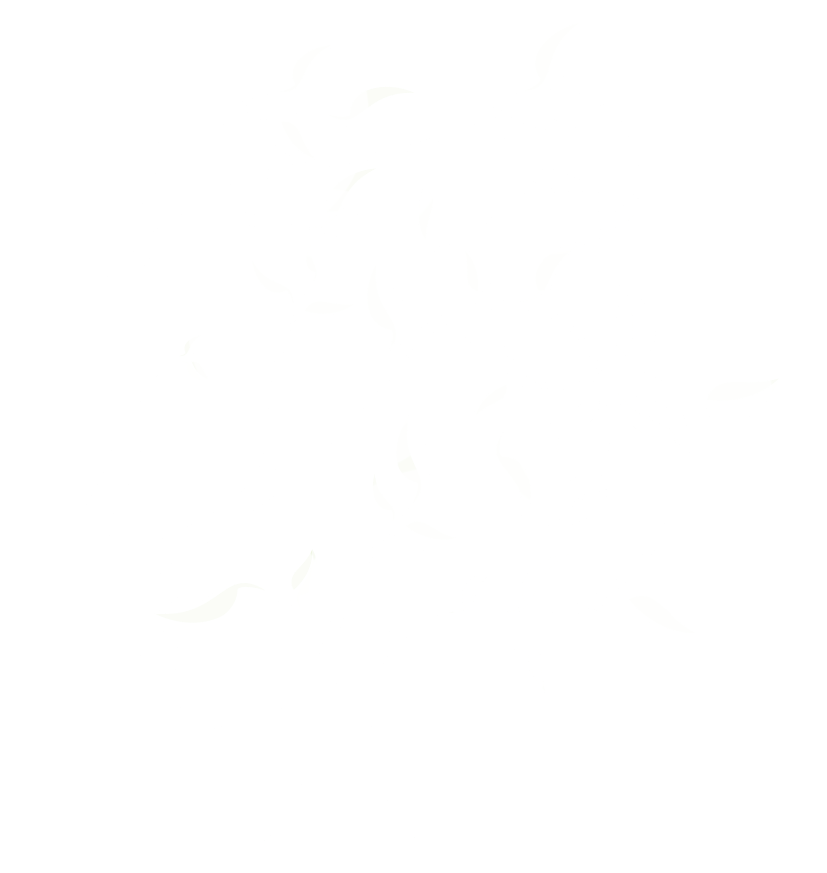 linden tree education